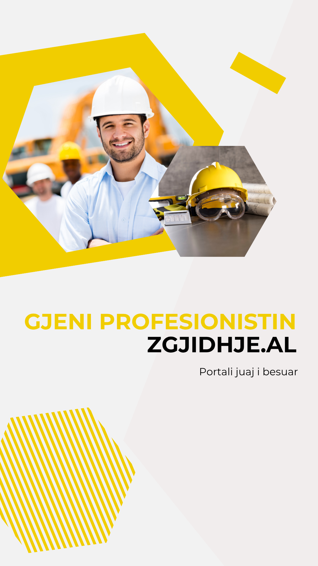 zgjidhje al, profesioniste (1)