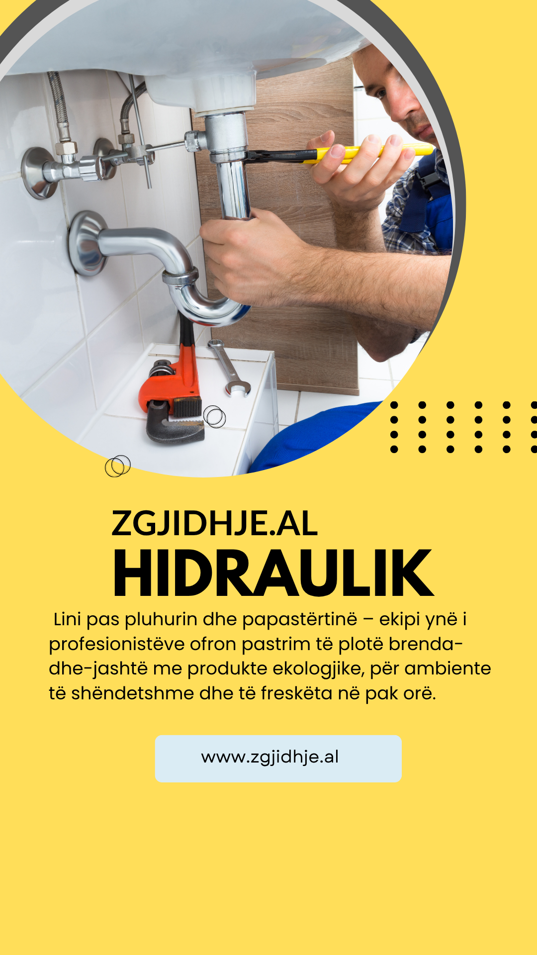 zgjidhje al, profesioniste (2)