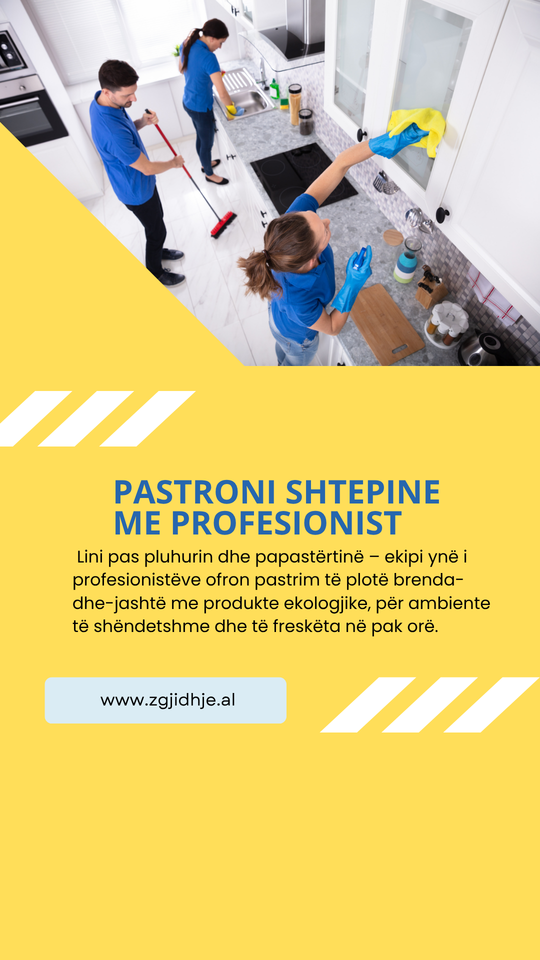 zgjidhje al, profesioniste (3)